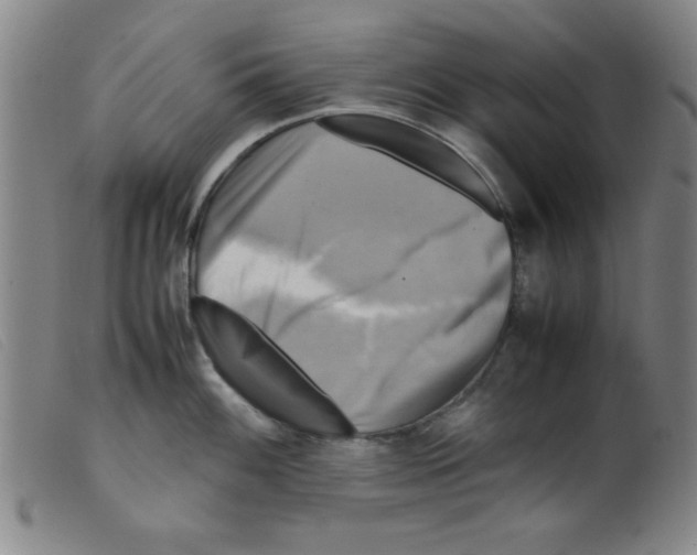 X0000098191100200805221511