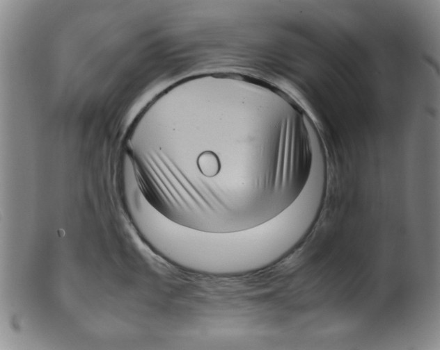 X0000098191101200805221511