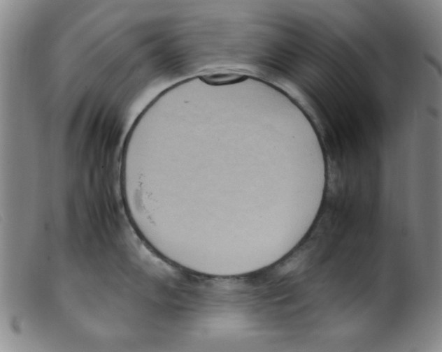 X0000098191102200805221511