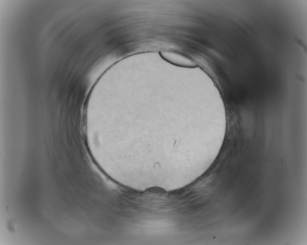 X0000098191103200805221511
