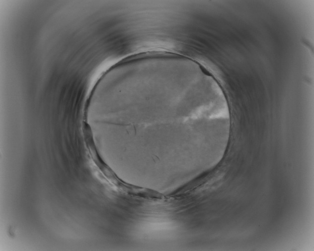 X0000098191104200805221511