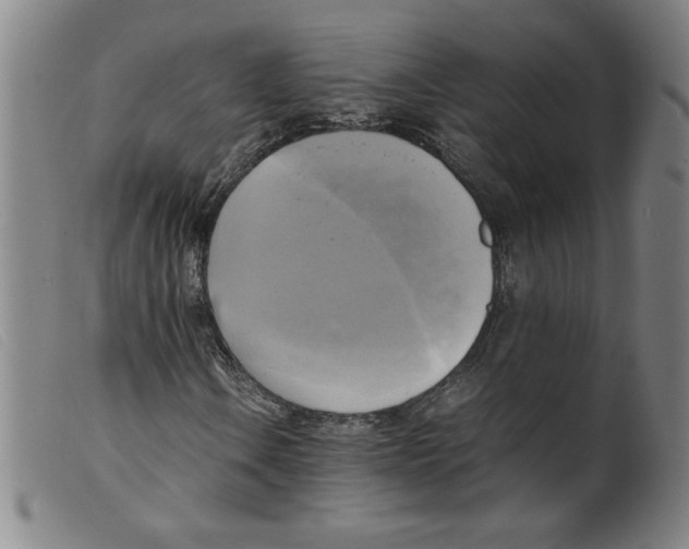 X0000098191106200805221510