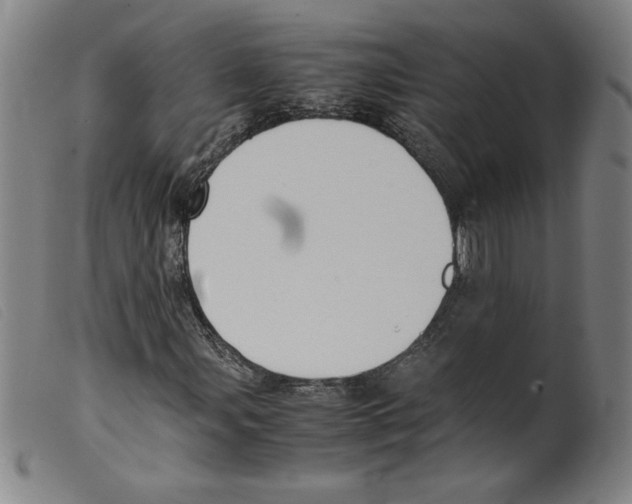 X0000098191107200805221510