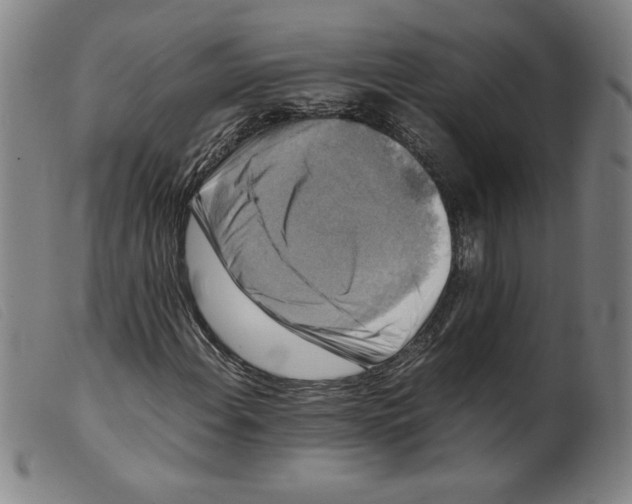 X0000098191108200805221510