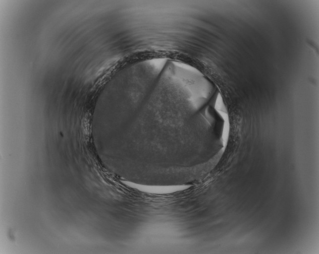 X0000098191110200805221510