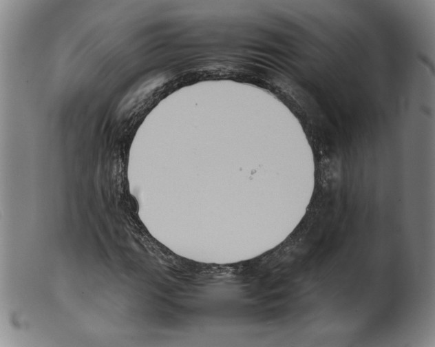 X0000098191111200805221510