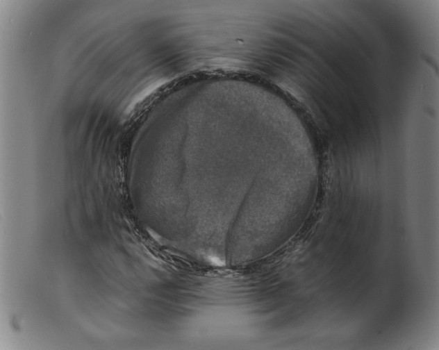 X0000098191112200805221510