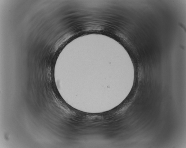 X0000098191113200805221511