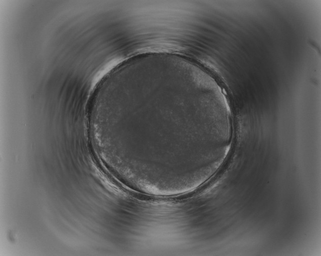 X0000098191114200805221511