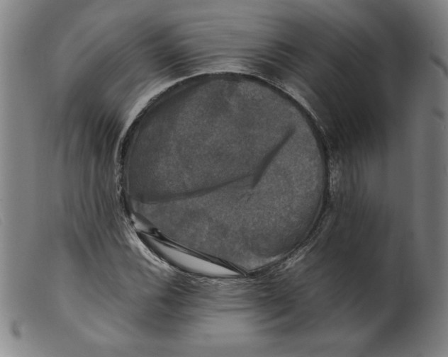 X0000098191116200805221511