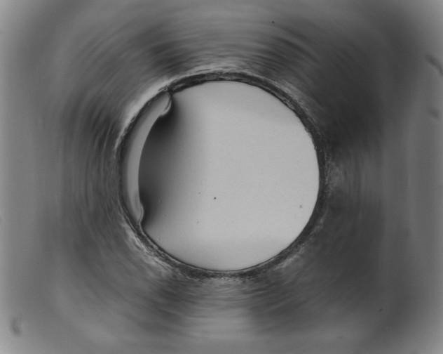 X0000098191118200805221511
