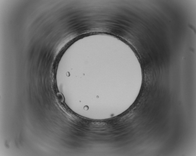 X0000098191119200805221511