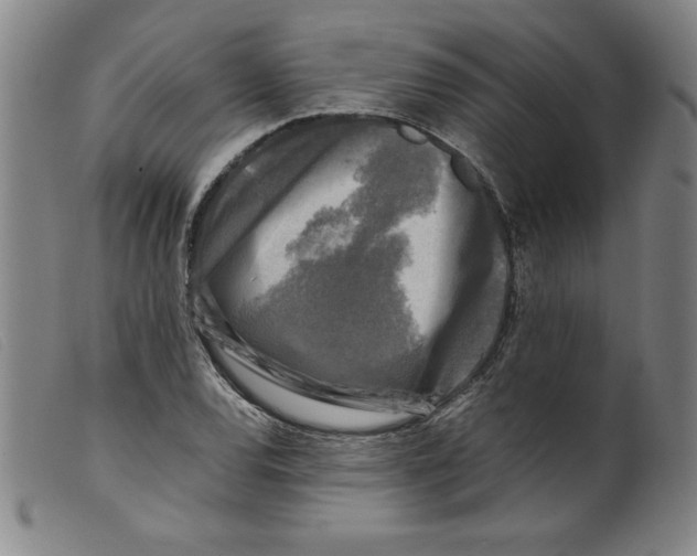 X0000098191120200805221511