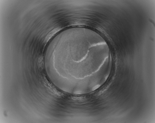 X0000098191121200805221511