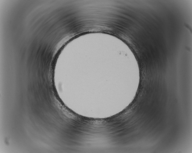 X0000098191122200805221511