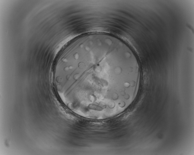 X0000098191125200805221511