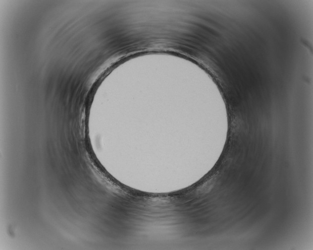 X0000098191126200805221511