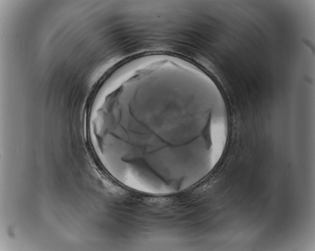 X0000098191127200805221511