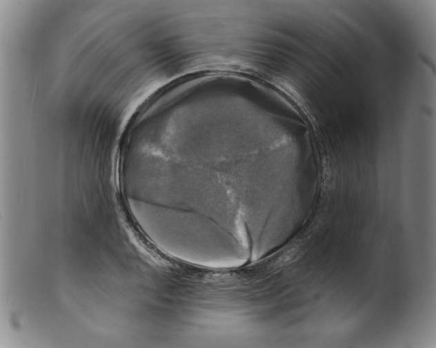 X0000098191128200805221511