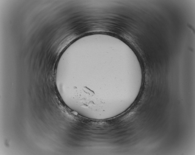 X0000098191129200805221511