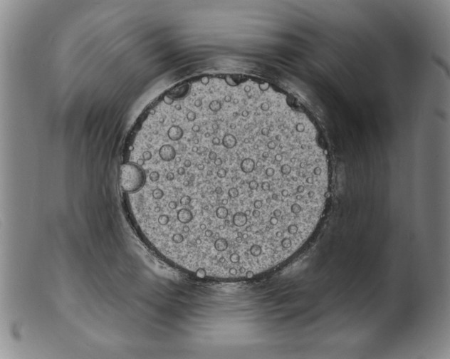 X0000098191130200805221511