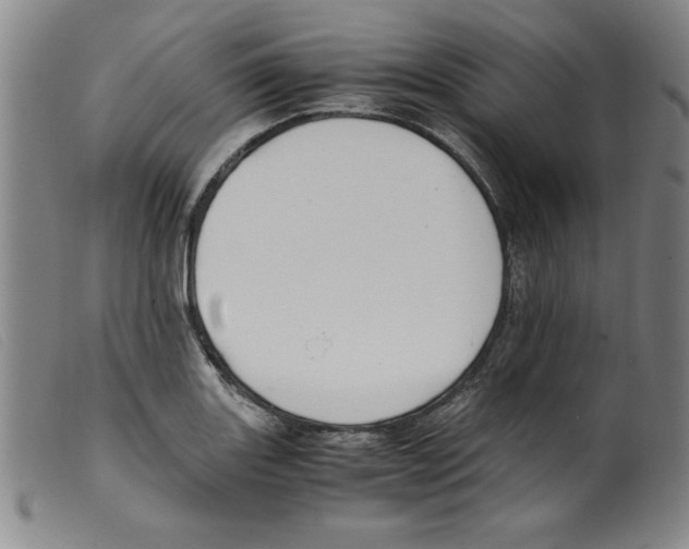 X0000098191131200805221511