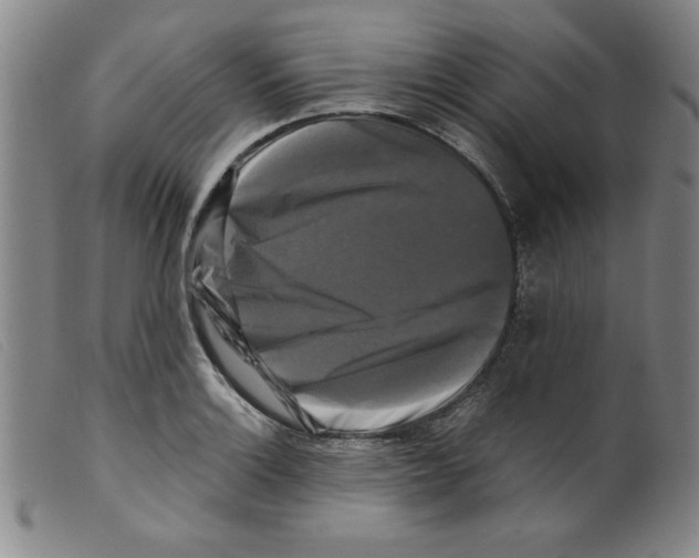 X0000098191132200805221511