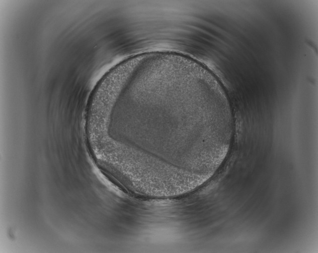 X0000098191134200805221511