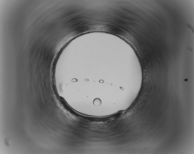 X0000098191135200805221511