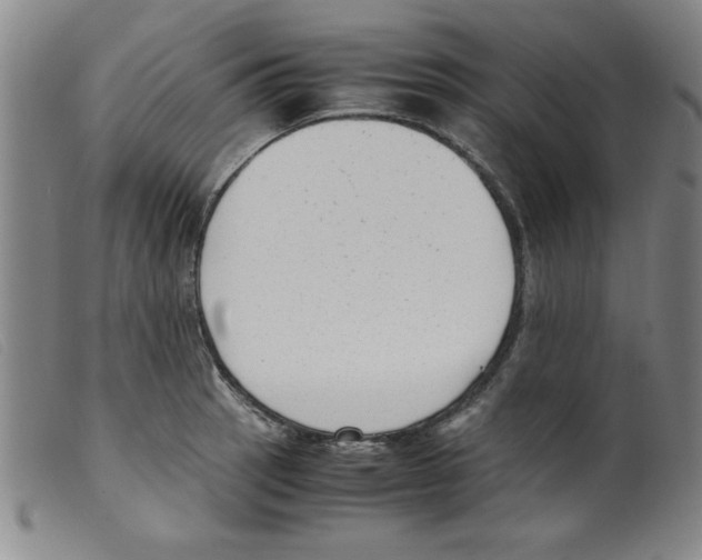 X0000098191137200805221511