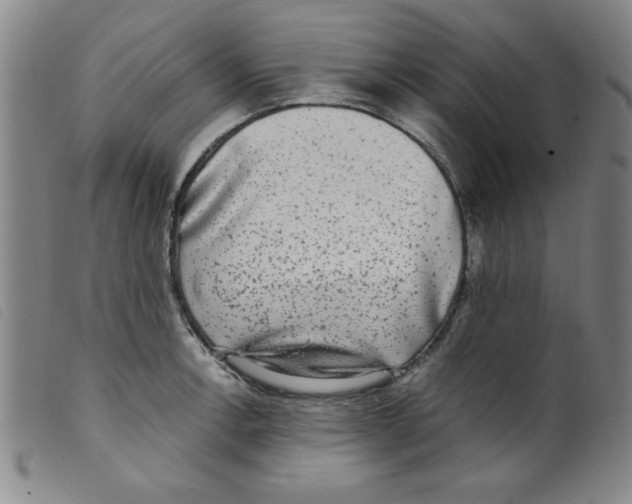 X0000098191138200805221511