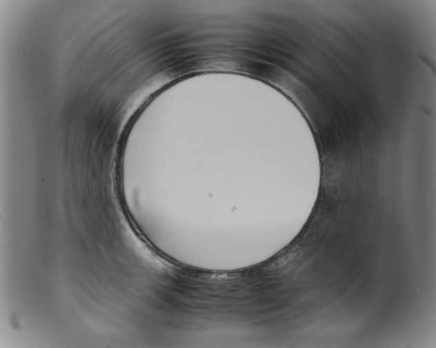 X0000098191139200805221511
