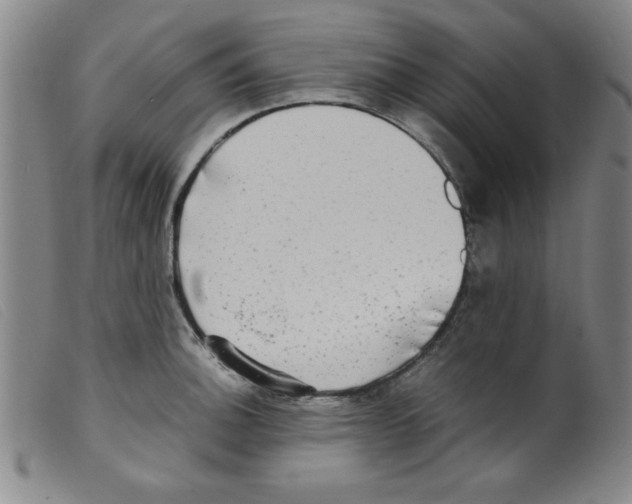 X0000098191140200805221511