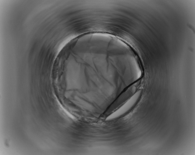X0000098191141200805221511