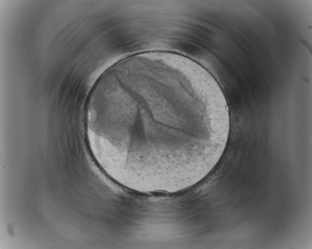X0000098191142200805221511