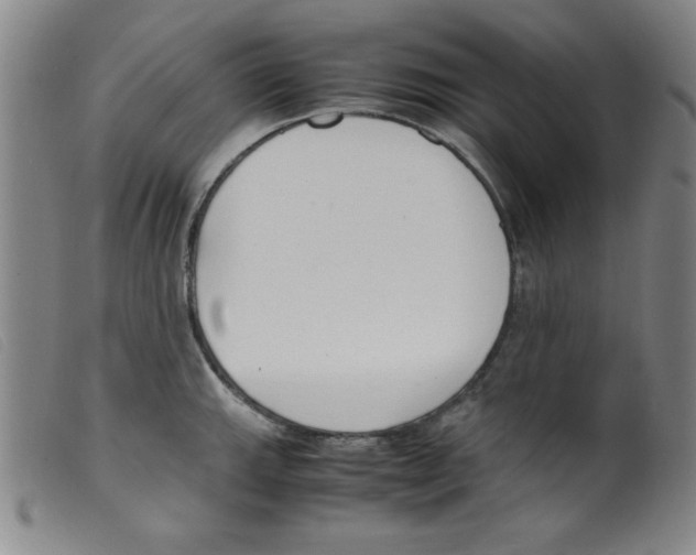 X0000098191143200805221511