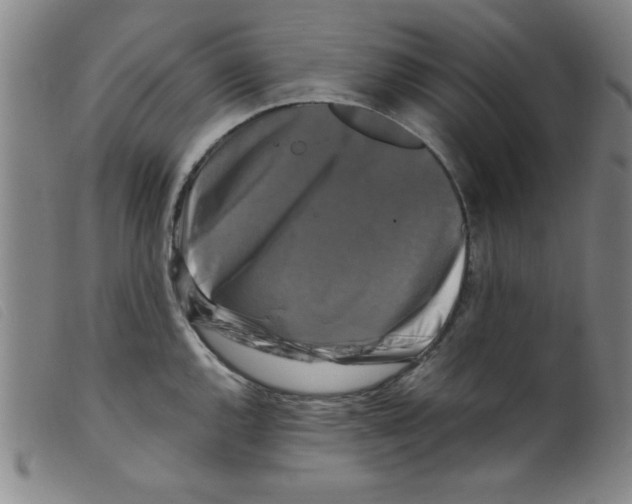 X0000098191144200805221511