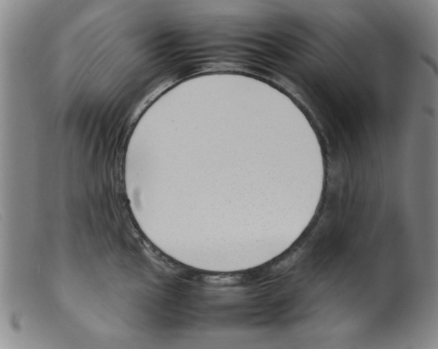 X0000098191145200805221511