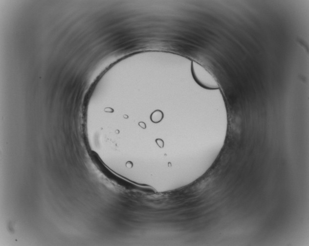 X0000098191147200805221511