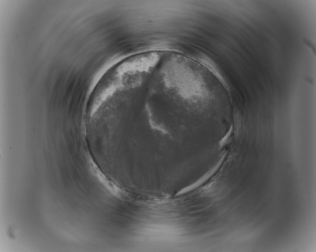 X0000098191148200805221511