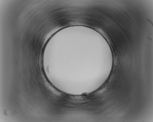 X0000098191149200805221511