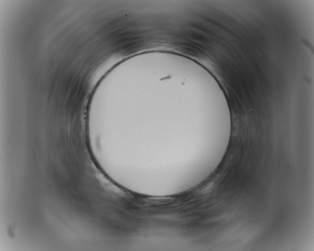 X0000098191151200805221511