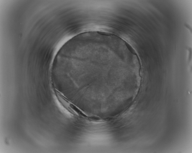 X0000098191152200805221511