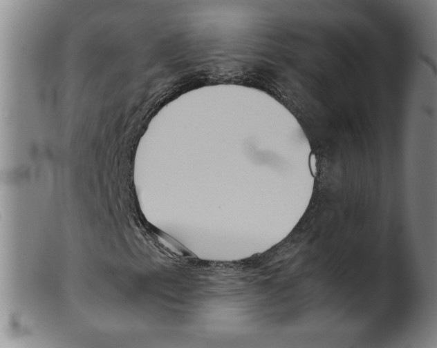 X0000098191153200805221510