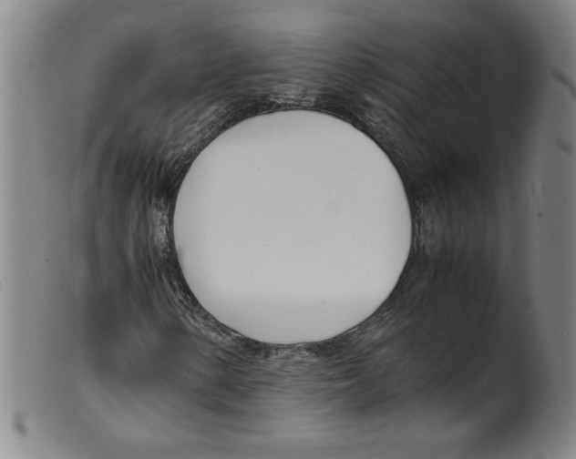 X0000098191154200805221510