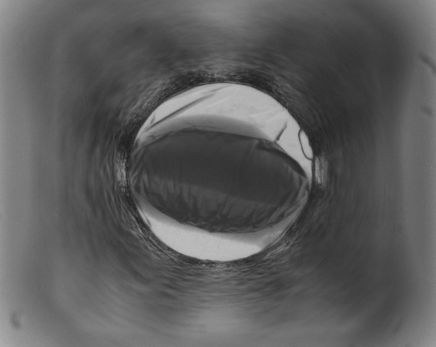 X0000098191155200805221510