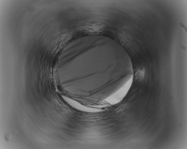 X0000098191156200805221510