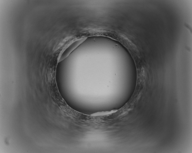 X0000098191157200805221510