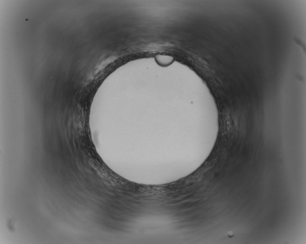 X0000098191158200805221510