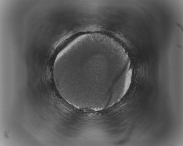 X0000098191160200805221510